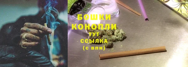 винт Богданович