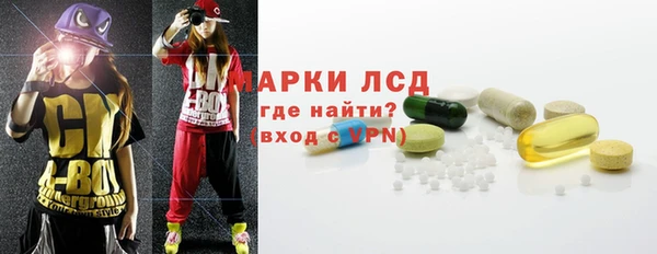 spice Бородино