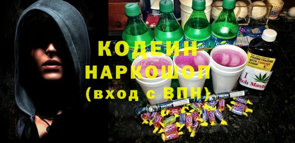 spice Бородино