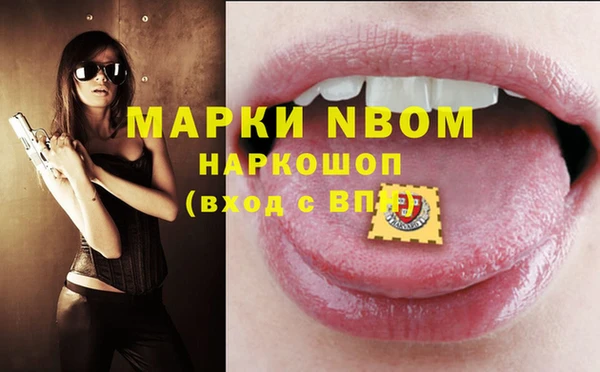 дмт Богородицк