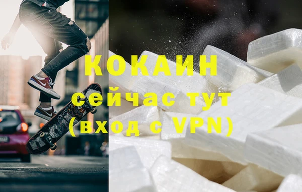 винт Богданович